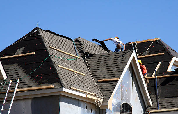Best Storm Damage Roof Repair  in Greene, IA